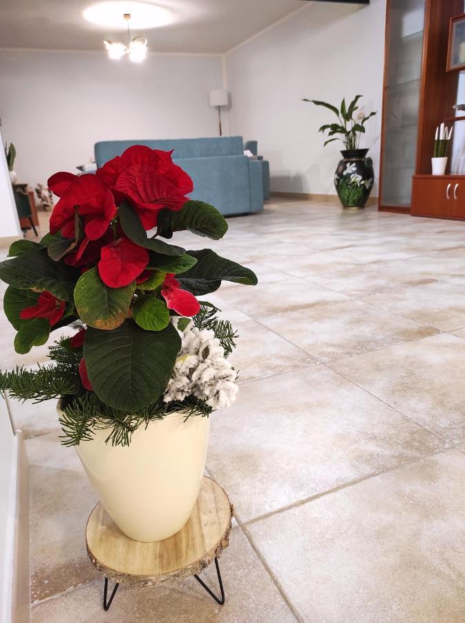Dadilo - Casa Vacanza & Bed And Breakfast Contursi Luaran gambar